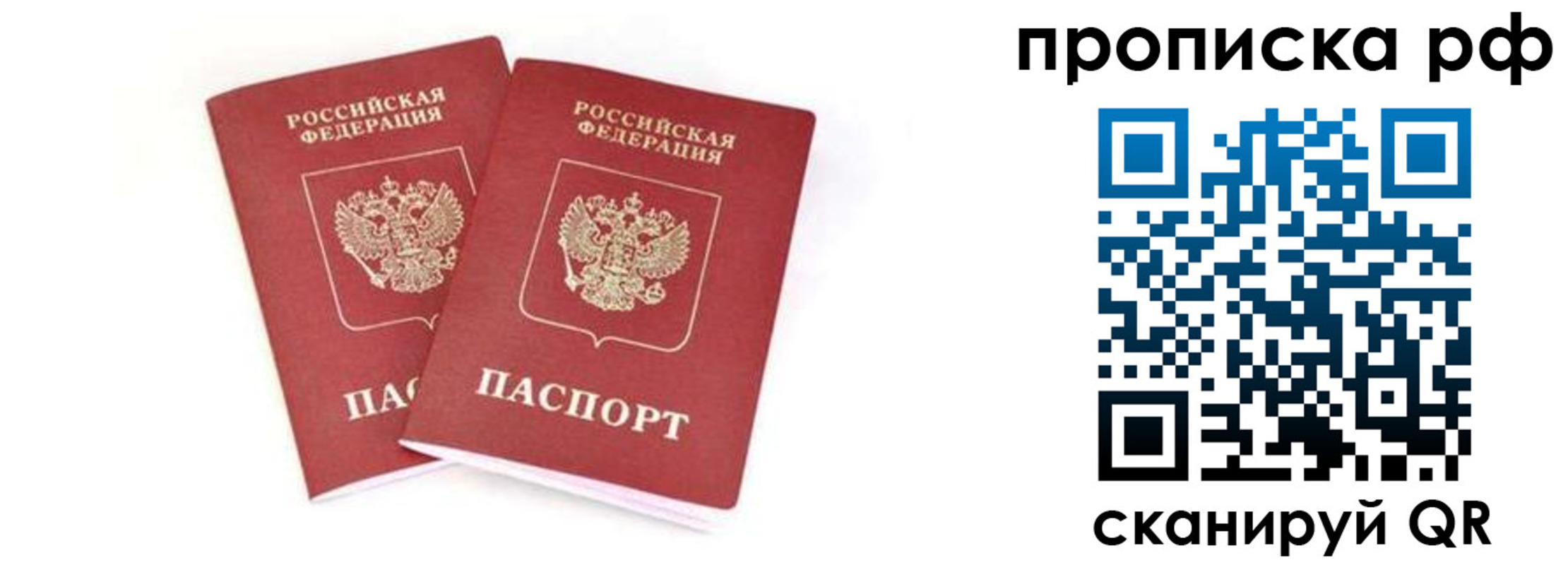прописка поиск в Сафоново